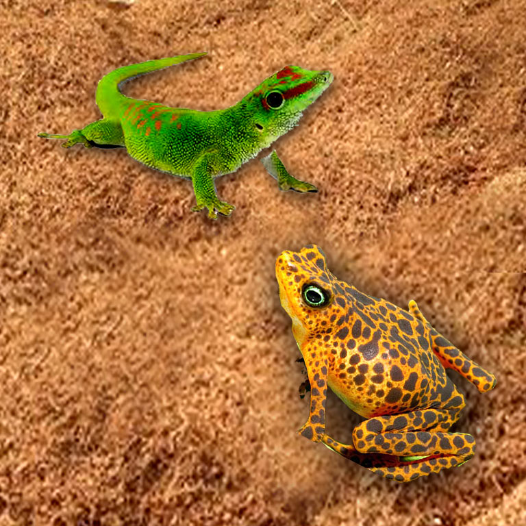 E-coir Bedding